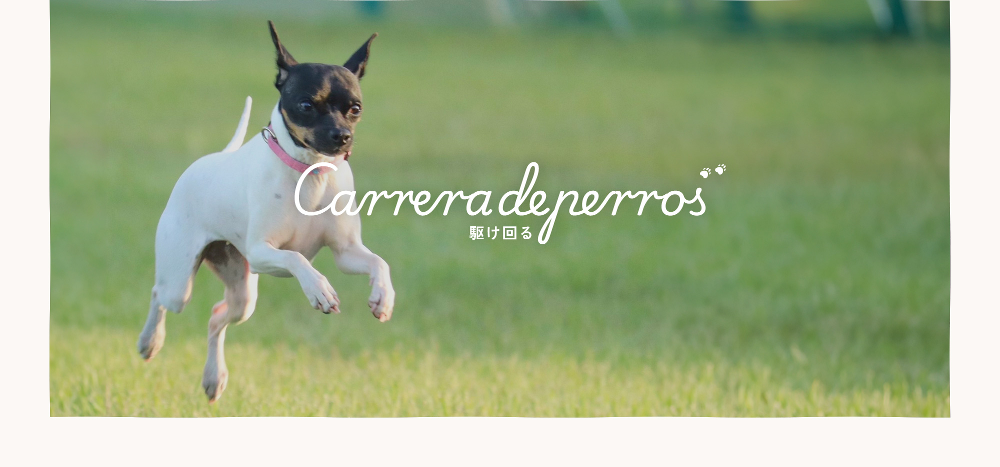 carrera de perros　～駆け回る～